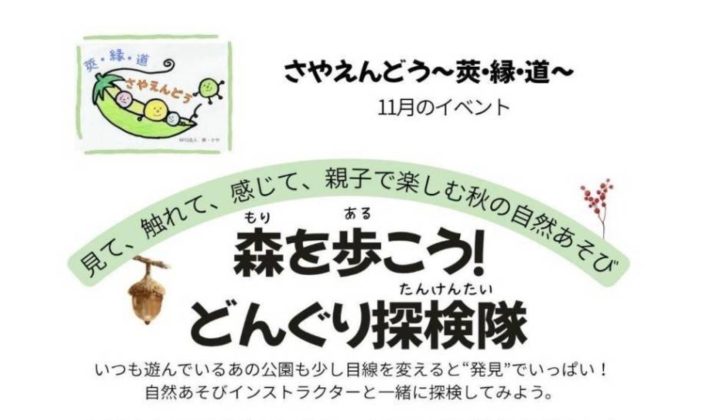 さやえんどう　森を歩こう！どんぐり探検隊